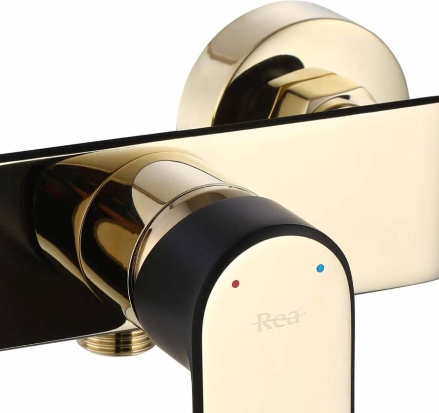 REA Douchekraan Bloom | Opbouw | Mengkraan | Incl.Handdoucheset | 1-weg | 1-hendel | Glans goud