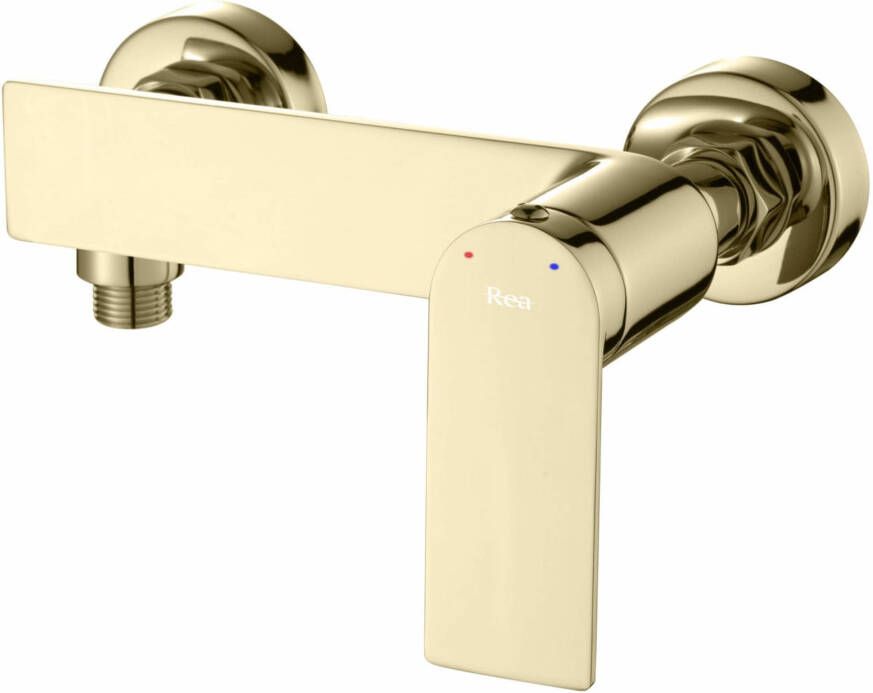 REA Douchekraan Storm | Opbouw | Mengkraan | Incl.Handdoucheset | hoh 15 cm | 1-hendel | Goud glans