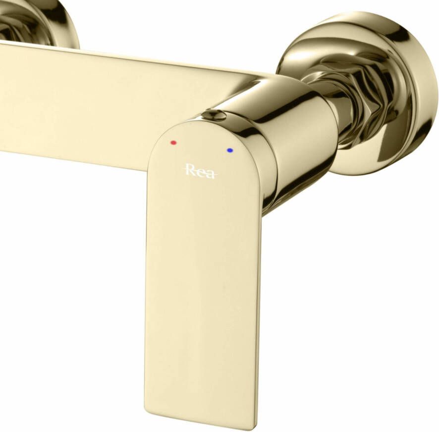 REA Douchekraan Storm | Opbouw | Mengkraan | Incl.Handdoucheset | hoh 15 cm | 1-hendel | Goud glans