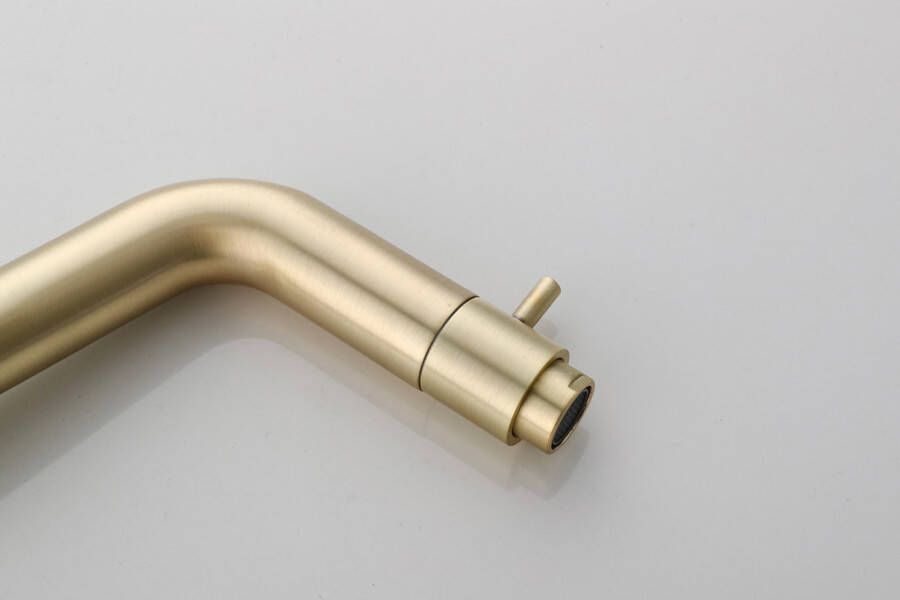 SaniClear Fonteinkraan Brass | Inbouw | Koudwater kraan | Rond | Goud
