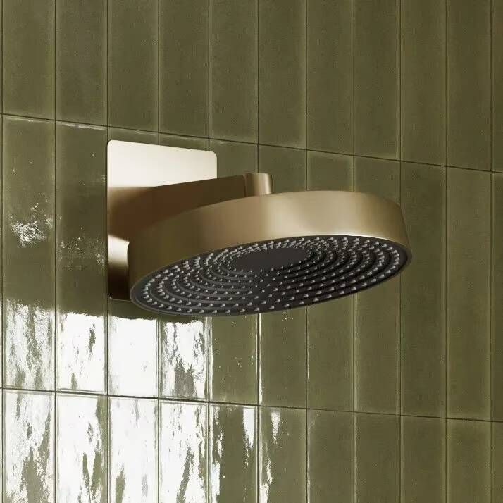 SaniClear Hoofddouche Evolution | 30 cm | Rond | Geborsteld messing