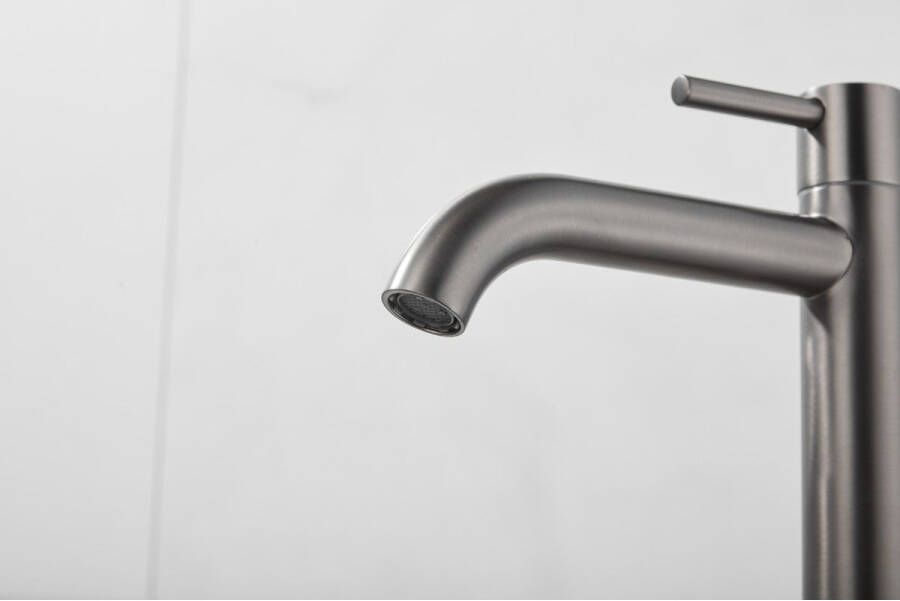 SaniClear Fonteinkraan Iron | Opbouw | Koudwater kraan | Hoog model | Rond | Gun metal