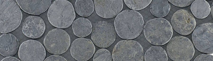 Stabigo Coin Light Grey mozaiek 30x30 cm grijs mat