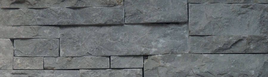 Stabigo Stone panels 04 Wandtegel | 20x50 cm | Natuursteenlook | Mat Grijs