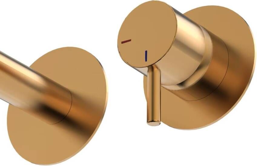 Xenz Wastafelkraan Duero | Inbouw | Mengkraan | Incl.Inbouwdeel | Rond | Geborsteld goud
