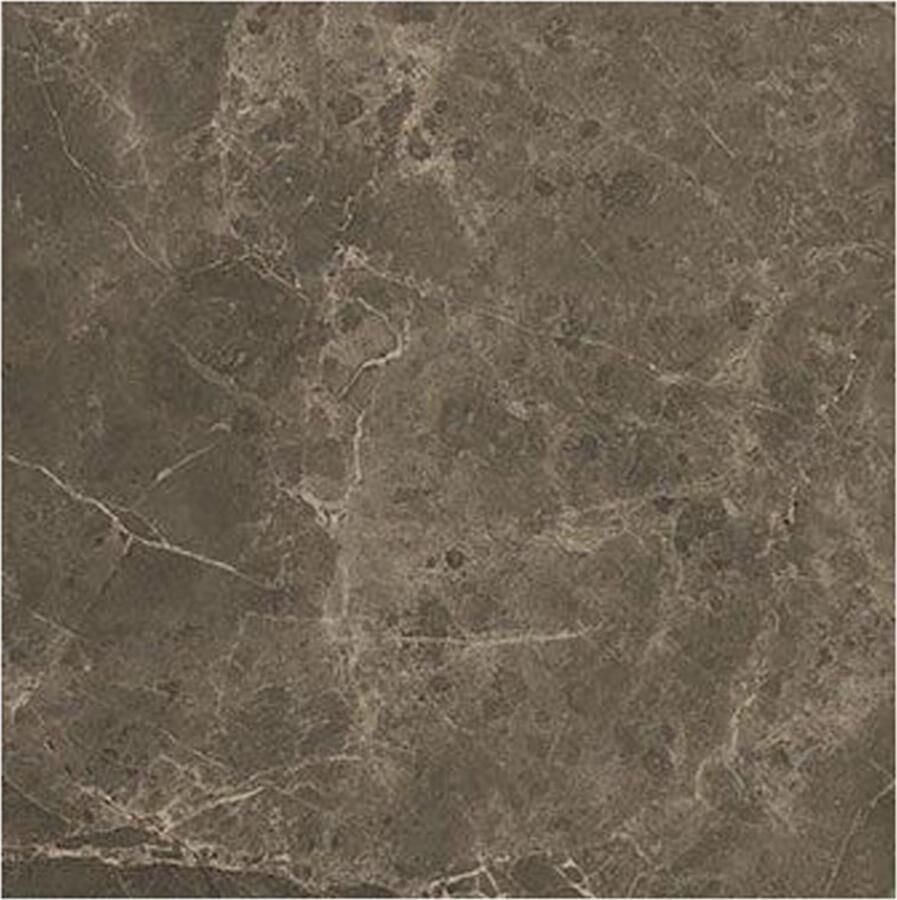 Fap Ceramiche Roma Vloer- en wandtegel | 60x60 cm | Gerectificeerd | Marmerlook | Mat Bruin