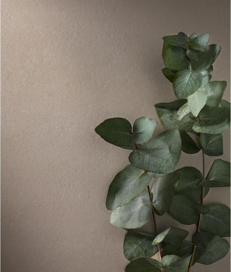 Fap Ceramiche Summer Vloer- en wandtegel | 80x80 cm | Gerectificeerd | Natuursteenlook | Zijde glans Lichtgrijs