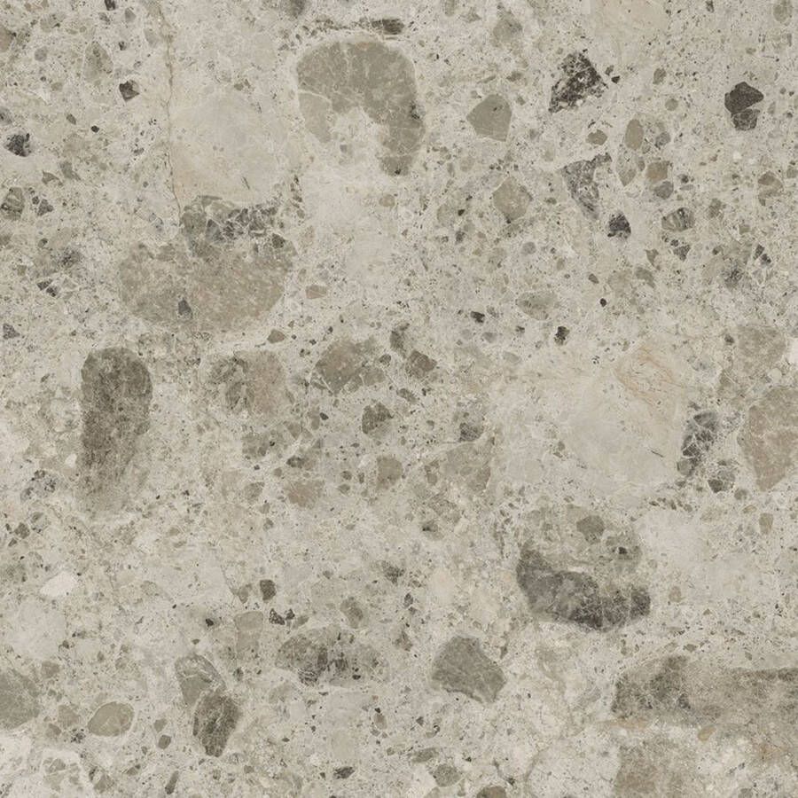 Fap Ceramiche Nativa Vloertegel | 120x120 cm | Gerectificeerd | Terrazzo | Mat Grijs