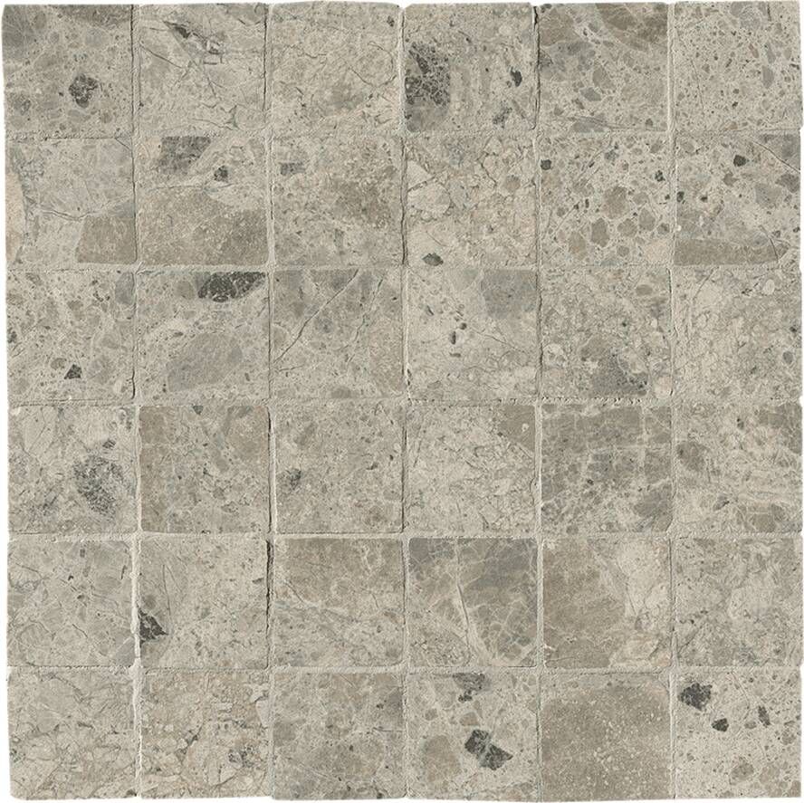 Fap Ceramiche Nativa Vloertegel | 30x30 cm | Terrazzo | Glans Grijs