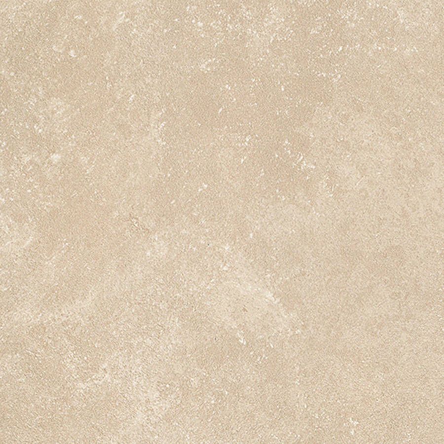 Fap Ceramiche Nobu Vloer- en wandtegel | 60x60 cm | Gerectificeerd | Natuursteenlook | Mat Beige