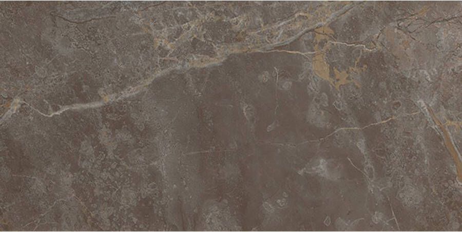 Fap Ceramiche Roma Stone Vloertegel | 60x120 cm | Gerectificeerd | Natuursteenlook | Mat Bruin