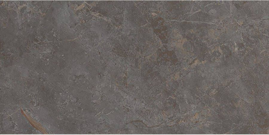 Fap Ceramiche Roma Stone Vloertegel | 60x120 cm | Gerectificeerd | Natuursteenlook | Mat Grijs