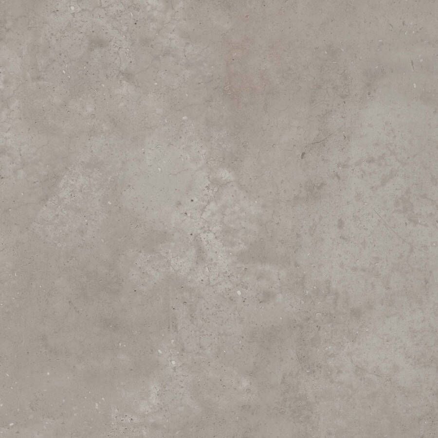 Flaviker Hyper Grey vloertegel beton look 120x120 cm grijs mat