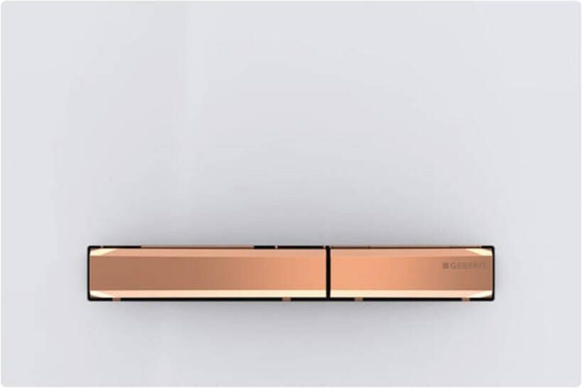 Geberit Sigma50 bedieningplaat 2-toets spoeling frontbediening voor toilet 24.6x16.4cm alpien wit 115670112