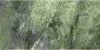 Geo Tiles Amazona Vloertegel | 60x120 cm | Gerectificeerd | Marmerlook | Glans Groen - Thumbnail 1