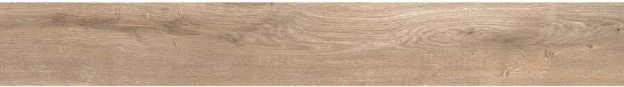 Geo Tiles Dixie Vloertegel | 20x120 cm | Gerectificeerd | Houtlook | Mat Bruin