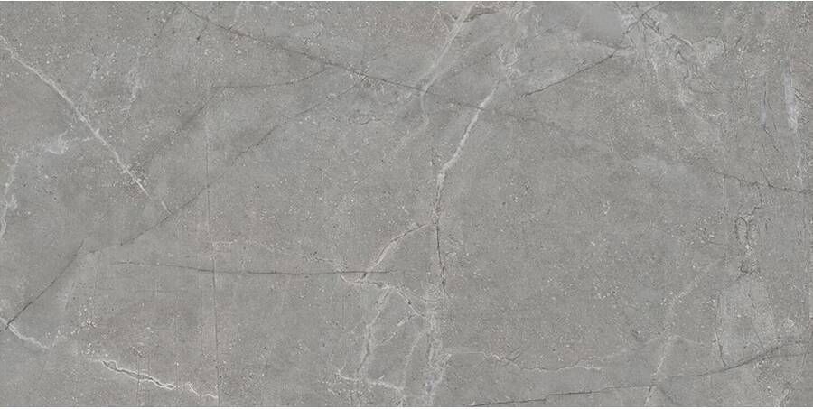 Geo Tiles Indic Vloertegel | 60x120 cm | Gerectificeerd | Marmerlook | Mat Grijs