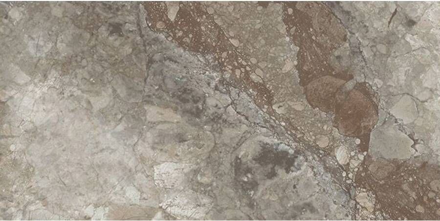 Geo Tiles Leyte Vloertegel | 60x120 cm | Gerectificeerd | Marmerlook | Glans Bruin