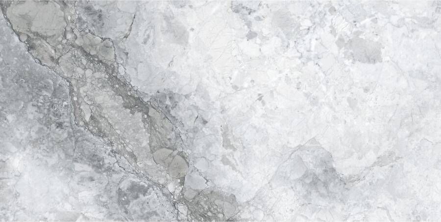 Geo Tiles Leyte Vloertegel | 60x120 cm | Gerectificeerd | Marmerlook | Glans Grijs - Foto 4