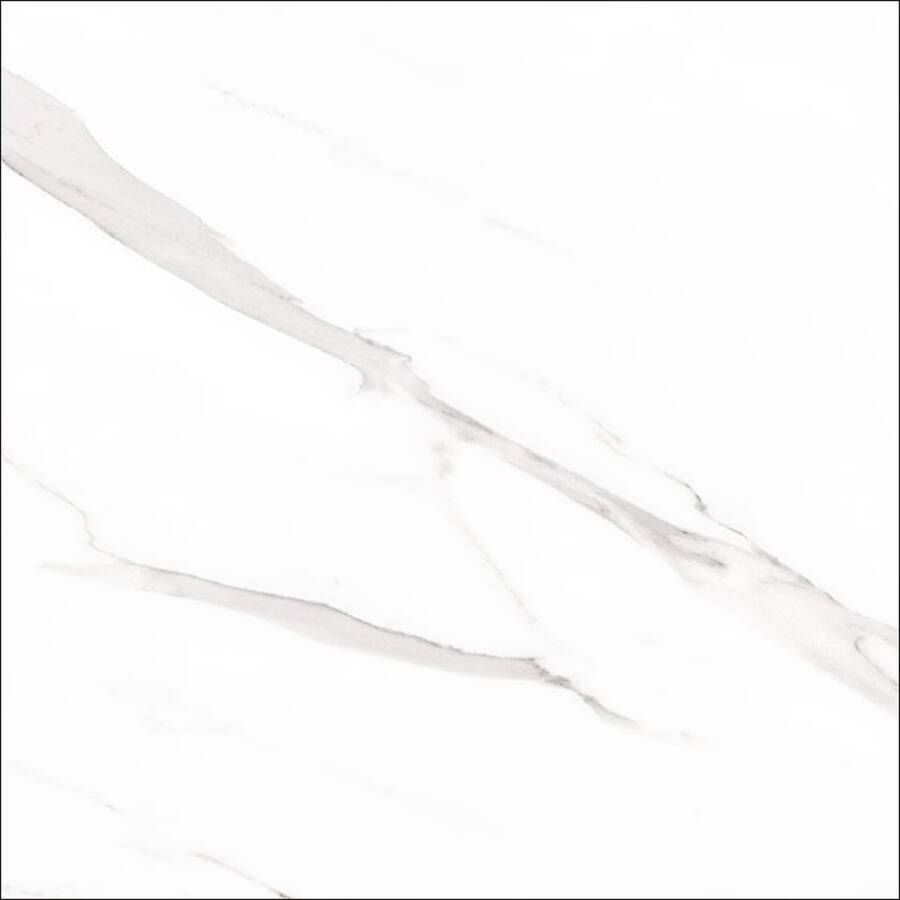 Geo Tiles Statuary Vloertegel | 120x120 cm | Gerectificeerd | Marmerlook | Mat Wit