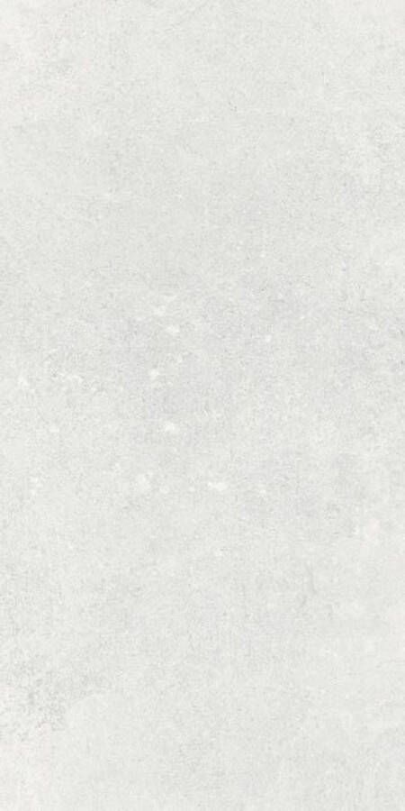 Baldocer Ceramica Arkety wandtegel 30x60cm 10mm gerectificeerd Betonlook Silver mat SW073W1014 - Foto 3