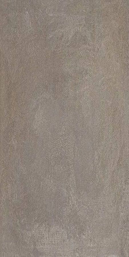 EnergieKer wand- en vloertegel 30x60cm Rechthoek 9mm gerectificeerd Betonlook Cendre SW0731016-2