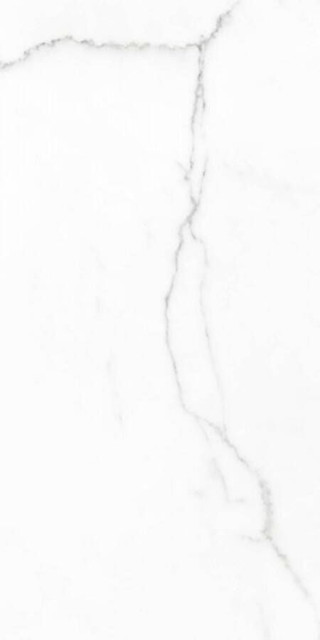 Cifre Ceramica Statuario wand- en vloertegel 30x60cm 9mm Rechthoek gerectificeerd Marmerlook Wit zwart mat SW07310846 - Foto 3