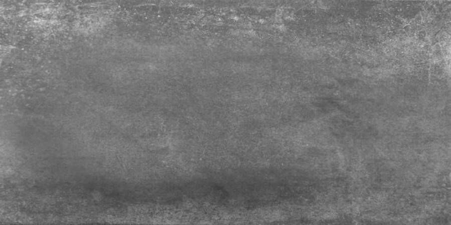 Cerpa Ceramica wand- en vloertegel 29x58.5cm 9mm Rechthoek gerectificeerd Betonlook Grijs mat SW07310382-1