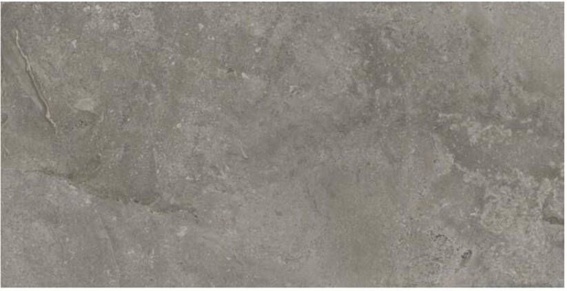 Baldocer Cerámica Storm Vloer- en wandtegel | 60x120 cm | Gerectificeerd | Marmerlook | Mat Grijs