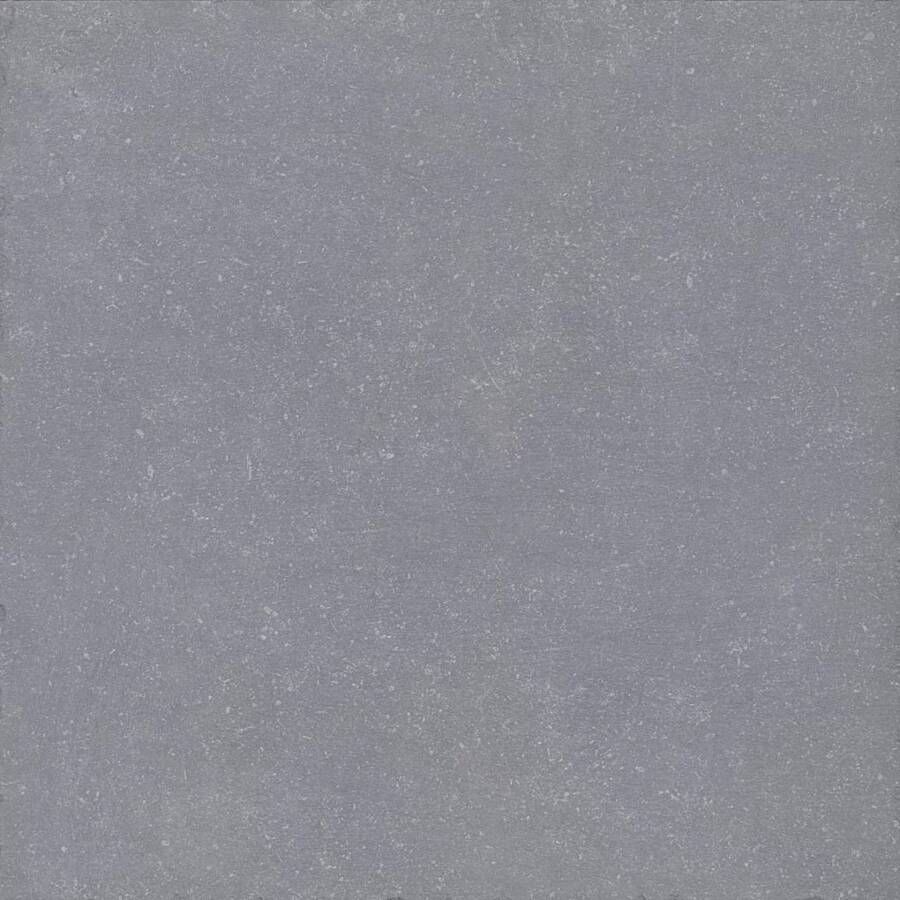 La Fenice Bluestone Vloertegel | 61x61 cm | Mat Grijs