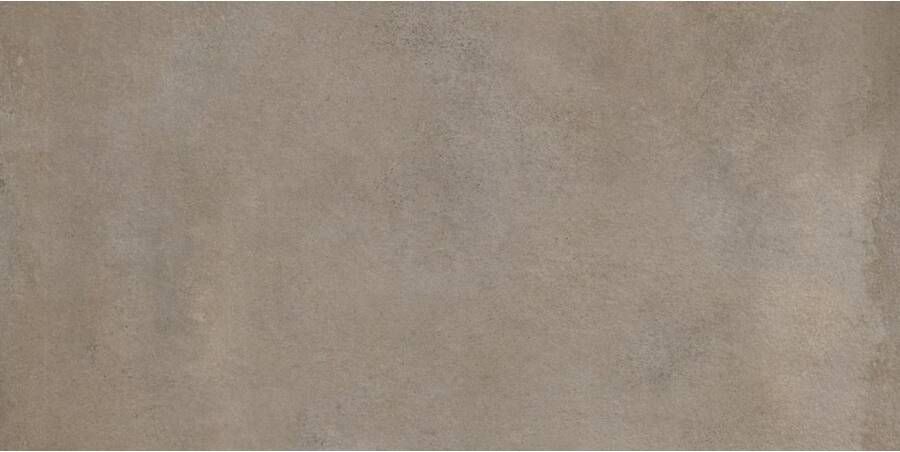 La Fenice Fattoamano Vloertegel | 30.8x61.5 cm | Betonlook | Mat Grijs