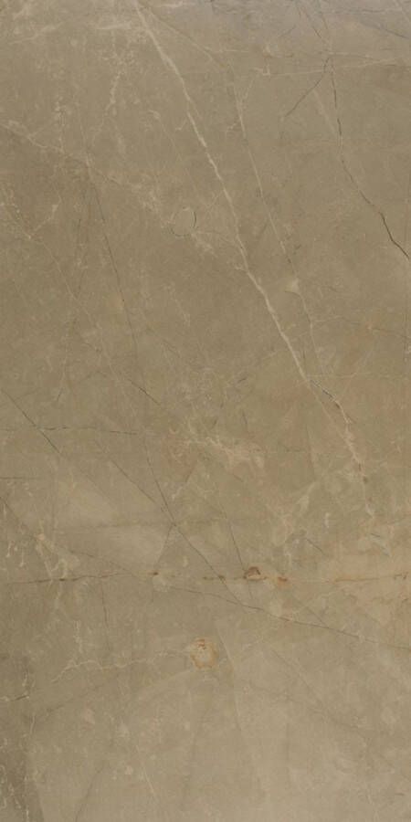 Marazzi italie Evolution Wandtegel | 32.5x97.7 cm | Gerectificeerd | Glans Bruin