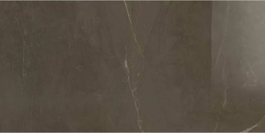 Marazzi italie Allmarble Vloertegel | 60x120 cm | Gerectificeerd | Marmerlook | Glans Bruin