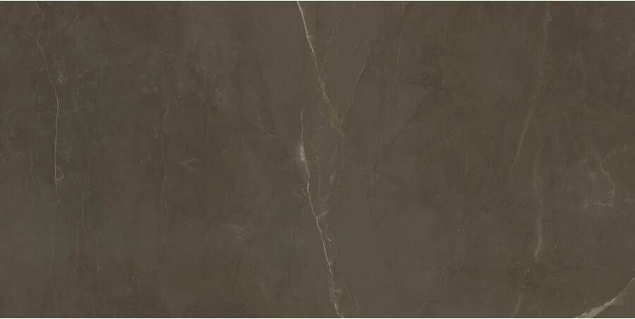 Marazzi italie Allmarble Vloertegel | 60x120 cm | Gerectificeerd | Marmerlook | Mat Bruin