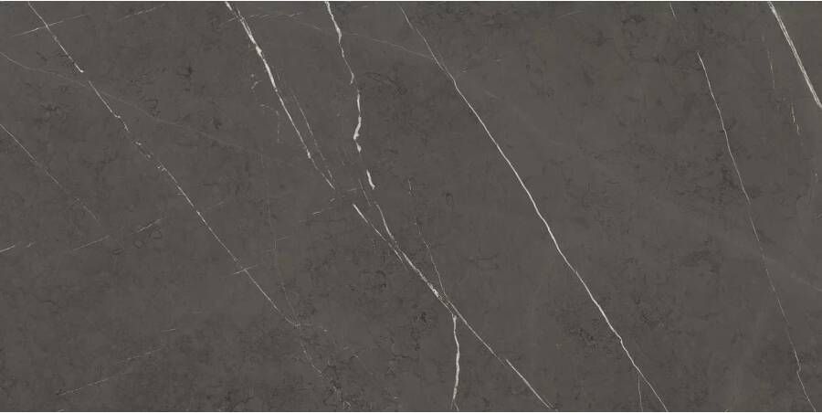 Marazzi italie Allmarble Vloertegel | 60x120 cm | Gerectificeerd | Marmerlook | Mat Grijs - Foto 2