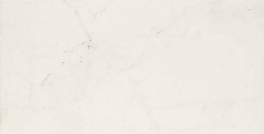 Marazzi italie Allmarble Vloertegel | 60x120 cm | Gerectificeerd | Mat Wit