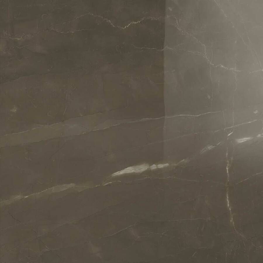 Marazzi italie Allmarble Vloertegel | 60x60 cm | Gerectificeerd | Glans Bruin