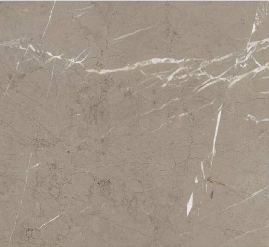 Marazzi italie Allmarble Vloertegel | 60x60 cm | Gerectificeerd | Marmerlook | Mat Grijs