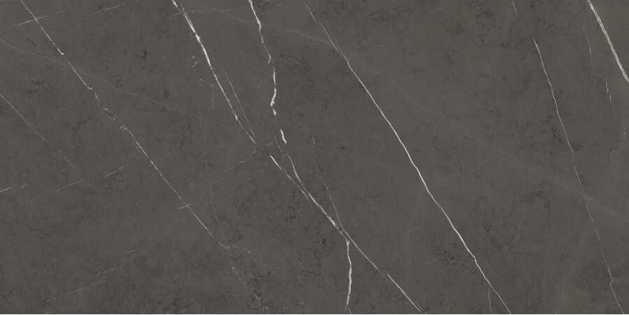 Marazzi italie Allmarble Vloertegel | 75x150 cm | Gerectificeerd | Marmerlook | Mat Grijs