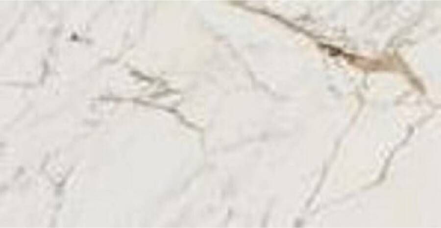 Marazzi italie Allmarble Vloertegel | 75x150 cm | Gerectificeerd | Marmerlook | Mat Grijs
