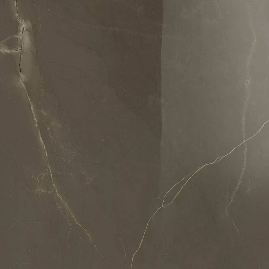 Marazzi italie Allmarble Vloertegel | 75x75 cm | Gerectificeerd | Marmerlook | Glans Bruin - Foto 2