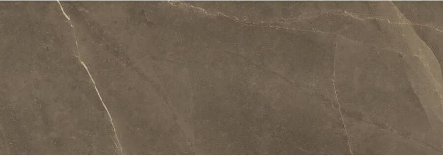 Marazzi italie Allmarble Wall Wandtegel | 40x120 cm | Gerectificeerd | Marmerlook | Glans Bruin