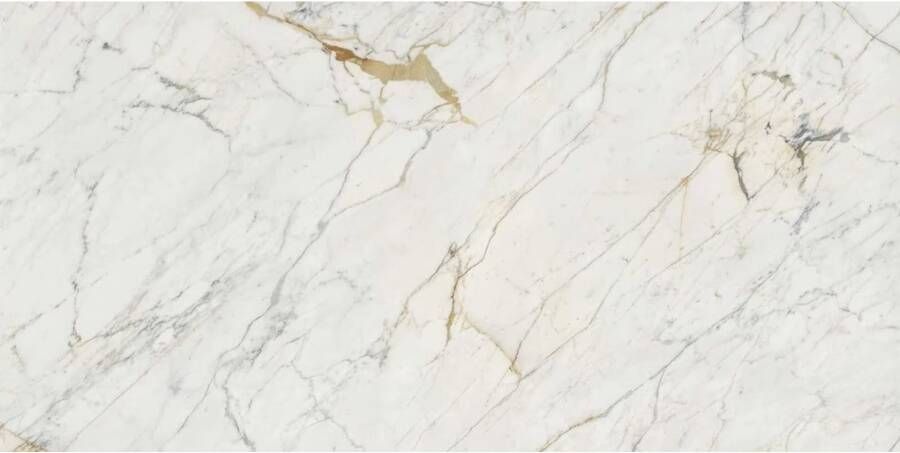 Marazzi italie Grandemarble Vloertegel | 160x320 cm | Gerectificeerd | Marmerlook | Glans Wit - Foto 2