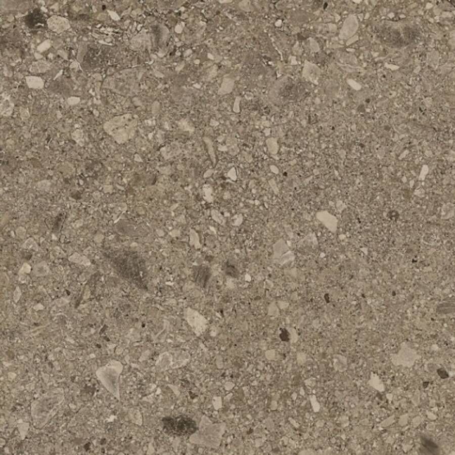 Marazzi italie Mystone Ceppo D Vloertegel | 75x75 cm | Gerectificeerd | Natuursteenlook | Mat Beige