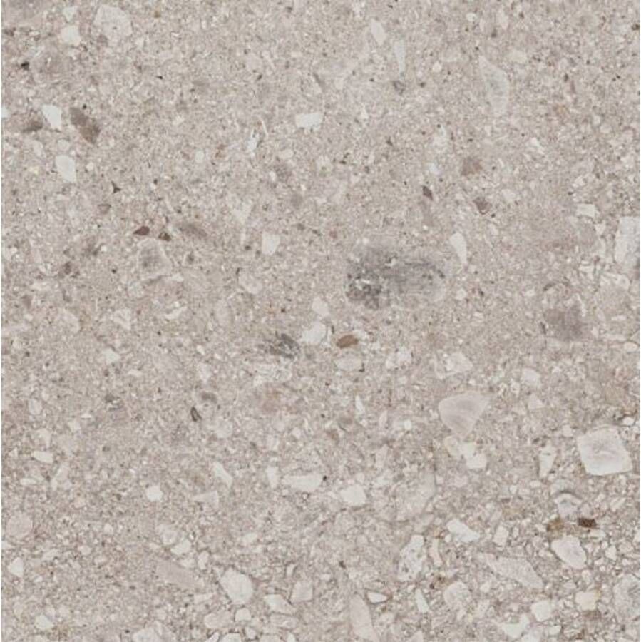 Marazzi italie Mystone Ceppo D Vloertegel | 75x75 cm | Gerectificeerd | Natuursteenlook | Mat Grijs