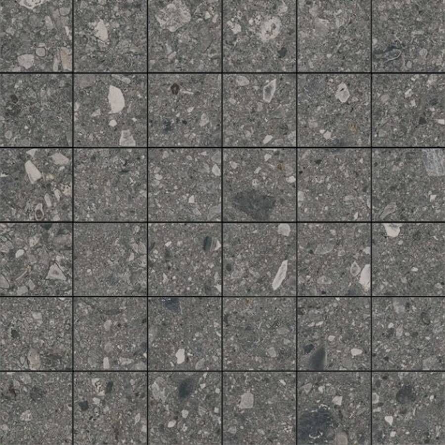 Marazzi italie Mystone Ceppo D Wandtegel | 30x30 cm | Gerectificeerd | Natuursteenlook | Mat Antraciet