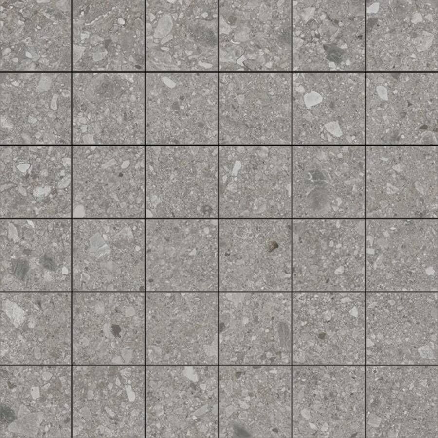 Marazzi italie Mystone Ceppo D Wandtegel | 30x30 cm | Gerectificeerd | Natuursteenlook | Mat Grijs