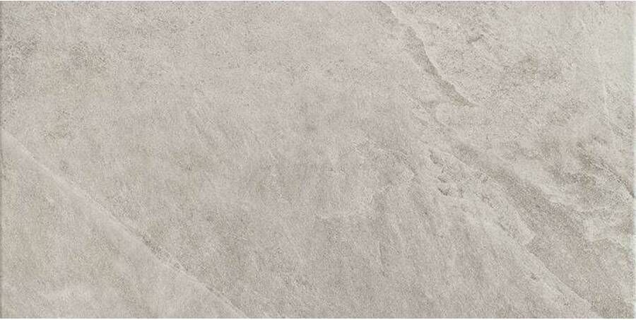 Panaria Frame Vloertegel | 60x120 cm | Gerectificeerd | Natuursteenlook | Mat Grijs