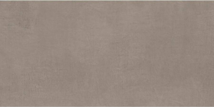 Pastorelli Colorful Vloertegel | 60x120 cm | Gerectificeerd | Betonlook | Mat Bruin