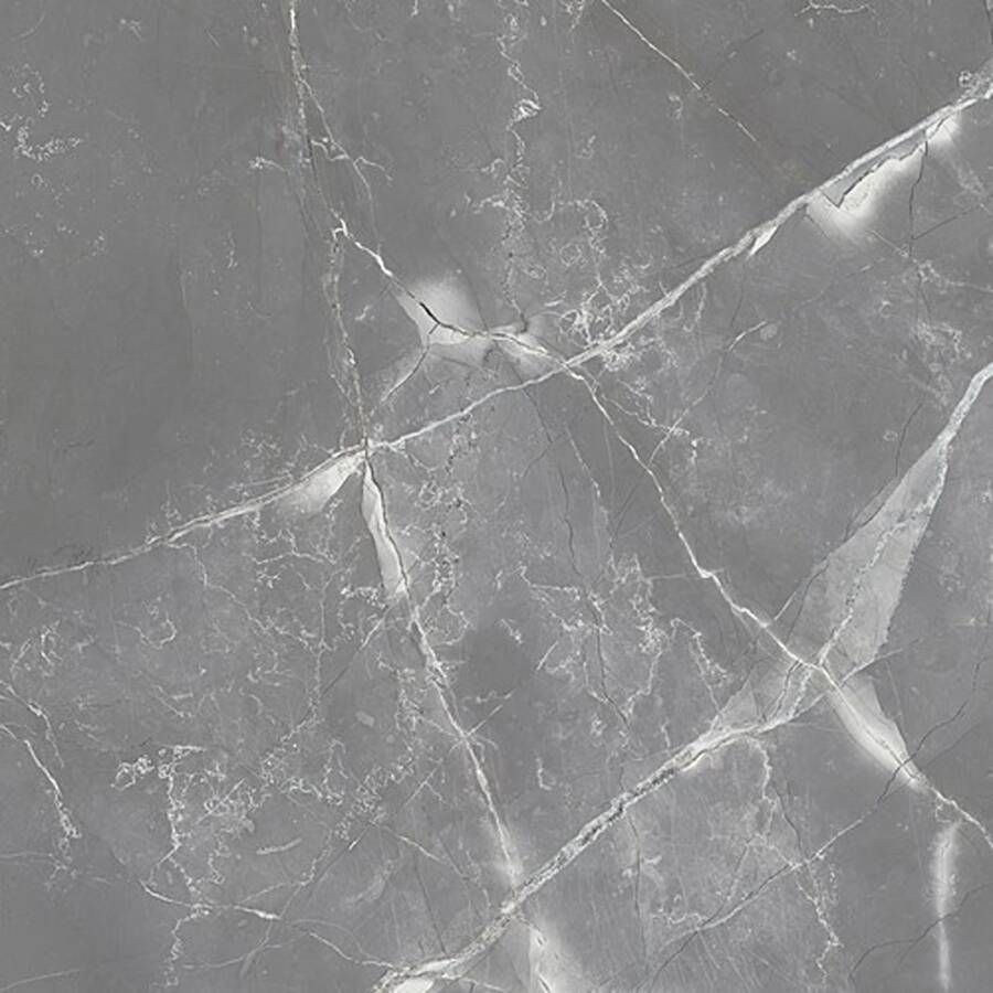 Rak Amani Marble Vloertegel | 60x60 cm | Gerectificeerd | Marmerlook | Mat Grijs